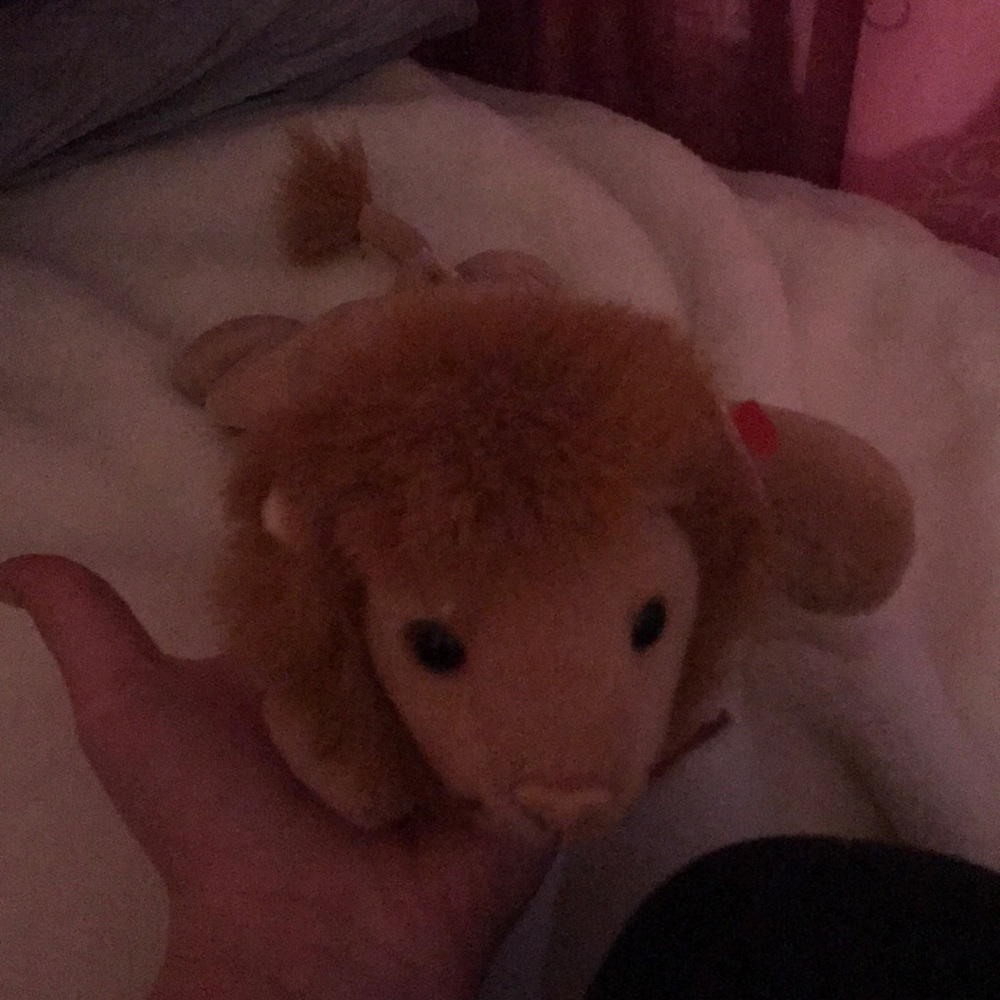 A stuffed animal lion